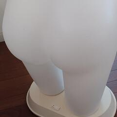 照明付マネキンの画像