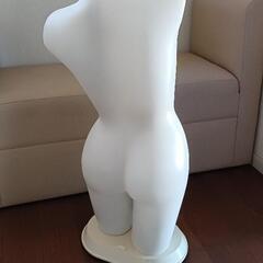 照明付マネキンの画像