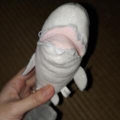 サメ　ぬいぐるみの画像