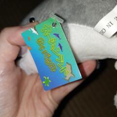 サメ　ぬいぐるみの画像