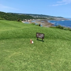 気軽に楽しくラウンドしましょー⛳️