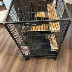 小動物ゲージの画像