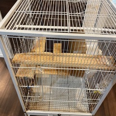 小動物ゲージの画像
