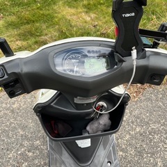 アドレスV125G 乗って帰れます💨の画像
