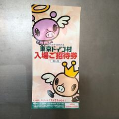 【千葉引渡】東京ドイツ村　千葉市引渡