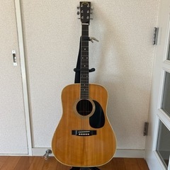 Morales ギター