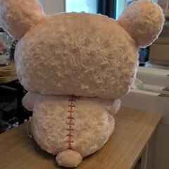 ピンクのクマちゃん、ぬいぐるみの画像