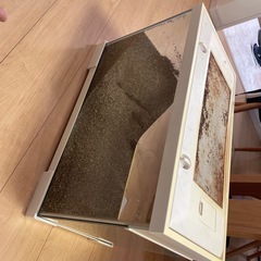 爬虫類　飼育ケース