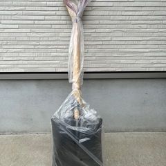 除雪に！新品の角スコップ！の画像