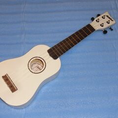 中古ウクレレ　Ashton / UKE100 (ソフトケース付)