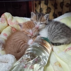 生後1〜2ヶ月。