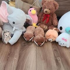 動物の仲間たち