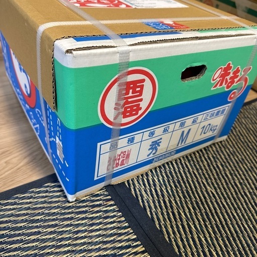 させぼ温州　みかん 10キロ