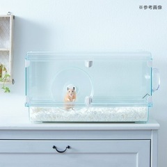 【3万円相当】ハムスター　飼育セット　お迎えセット