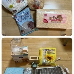 【3万円相当】ハムスター　飼育セット　お迎えセットの画像