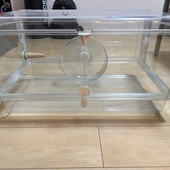 【3万円相当】ハムスター　飼育セット　お迎えセットの画像