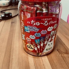 チュール
の画像