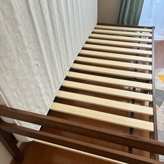 ニトリシングル