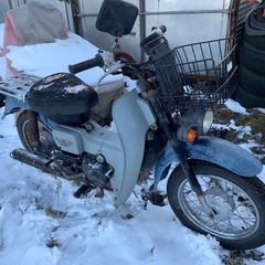 スズキ　バーディ５０