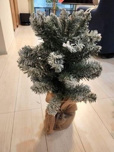 クリスマスツリー