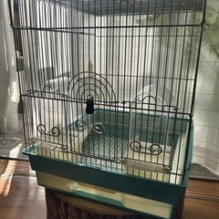 鳥かご　バードケージ あげます