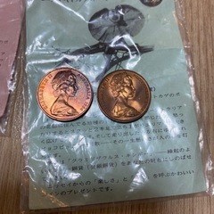 1984年　エリマキトカゲ　エリザベスデザイン　硬貨　2枚セット　日本生命の画像