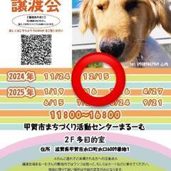 12月15日　保護犬　保護猫　譲渡会