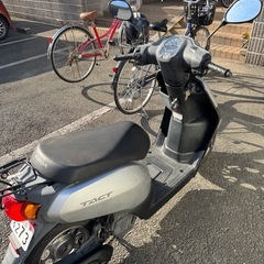 Honda
 AF79 