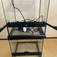 爬虫類ケージの画像