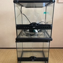 爬虫類ケージ