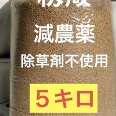 令和6年度 籾殻　1キロ