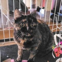 サビ姫様は、お話し上手♡