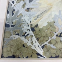 押し花　額入りの画像