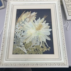 押し花　額入り