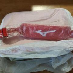 ミズノ　エナメルバック赤×白②の画像