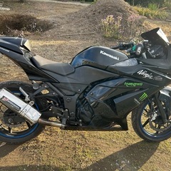Kawasaki ✩.*˚ニンジャ250   黒の画像