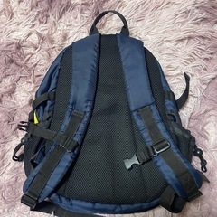 ミキハウス  ダブルB リュックの画像