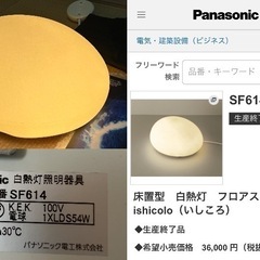 断捨離、不用品まとめて、転売される方に！！パナソニック 照明(.いしころ))シャンパン 電池 ワンピースクリアファイル 3脚 ブリンターエプソンインク DVDライター シリカゲル 古着Ꮇサイズ ニンテンドーDS 古本 ワンピースカード保管ケース 他いろいろ色々 ステレオミニプラグ変換プラグ キーボード、まうすマウス の画像