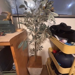 オリーブのイミテーショングリーン　観葉植物