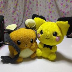 ピチュー＆デデンネ《2つで》