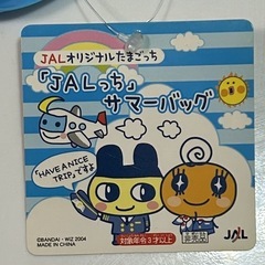 JAL サマーバック　子供用の画像