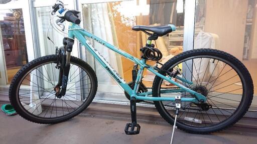 ビアンキ イーグル 24 （bianchi eagle 24)
