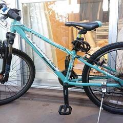 ビアンキ イーグル 24 （bianchi eagle 24)