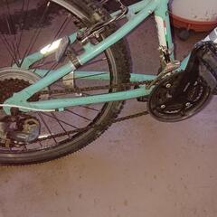 ビアンキ イーグル 24 （bianchi eagle 24)