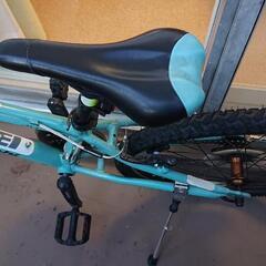ビアンキ イーグル 24 （bianchi eagle 24)