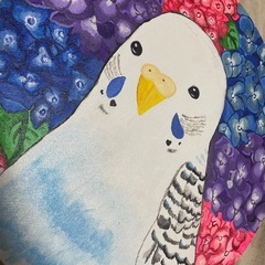 セキセイインコ  アクリル画  の画像