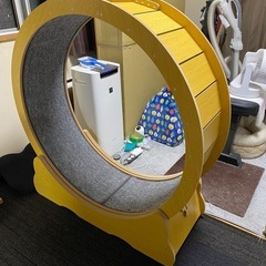 【46】【ほぼ未使用】キャットホイール　直径約100cmの画像