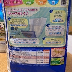 受け渡し予定決定マナーウェアsサイズ未開封と開封済み2袋の画像