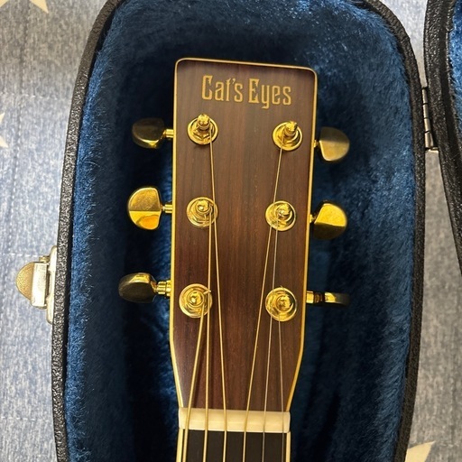 ギター‼️cat's-eye CE500
