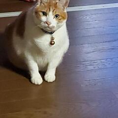 こんな時間ですが、、